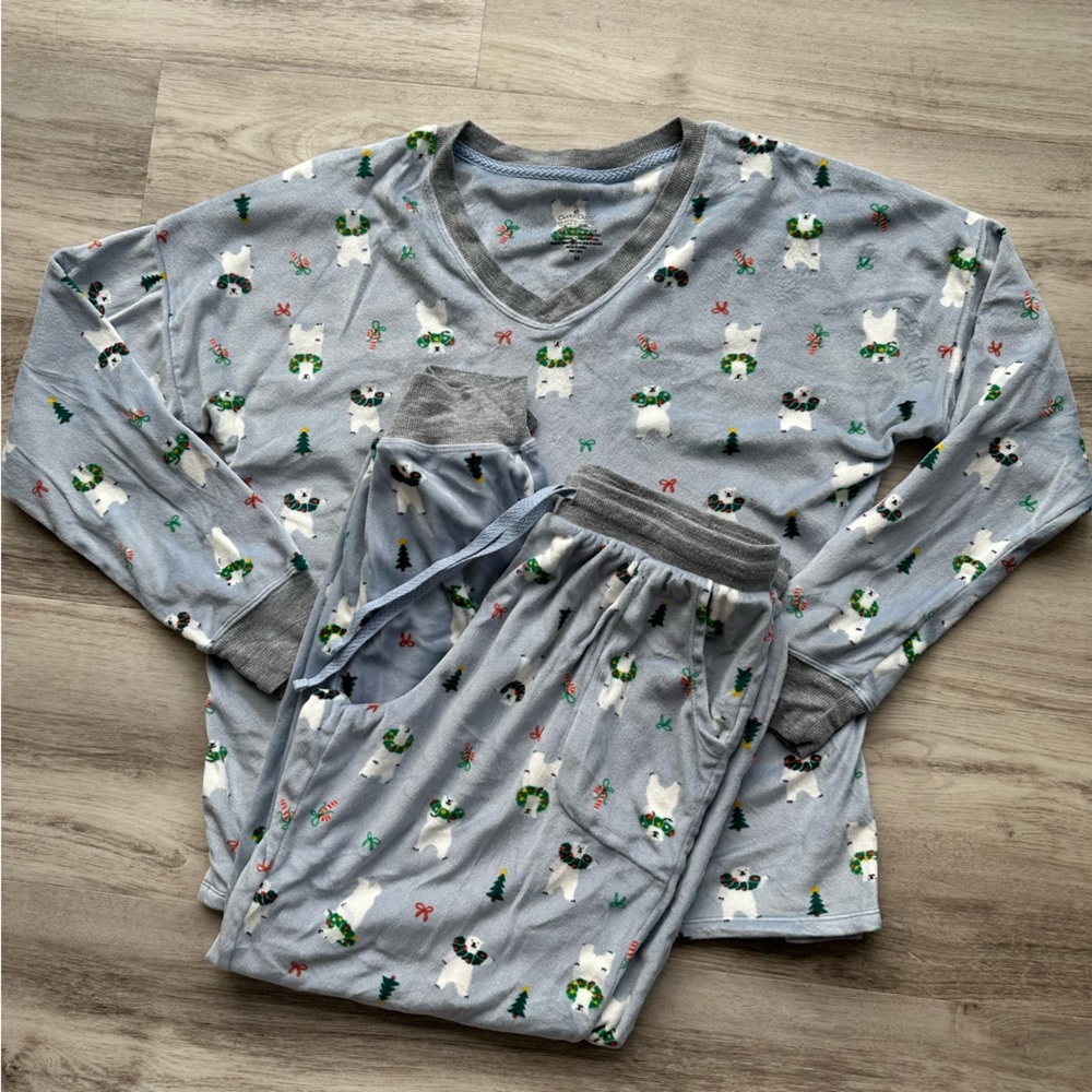 Cuddl Duds Cozy Gray and Blue Pajama Set with Penguin Print